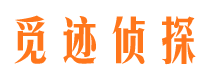 绥江市调查公司